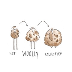 Lojan-partner_Het-Wooly-Collectief